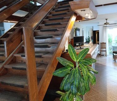 San Francisco Hotel | Hotel Menfis