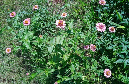 Foz do Iguacu Cottage | I am not currently renting.