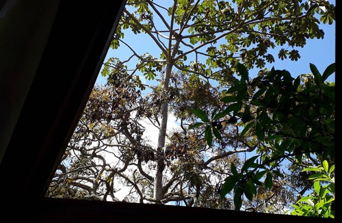 Aiuruoca House | Jacaranda Corner - House in the Matutu Valley