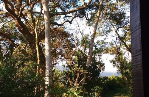Aiuruoca House | Jacaranda Corner - House in the Matutu Valley