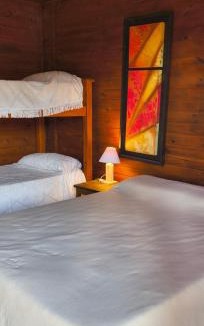 Villa Amancay Hostel | Kapo TEAM , colibri
