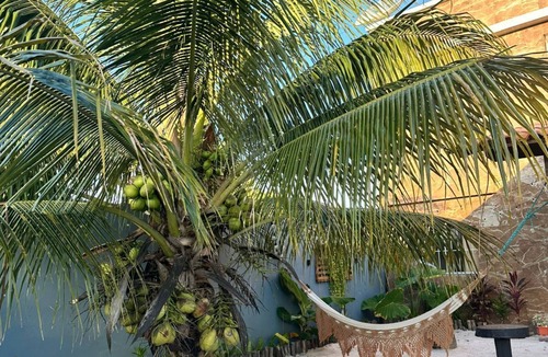 Porto Seguro Apartment | Kitnet Praia do Mutá
