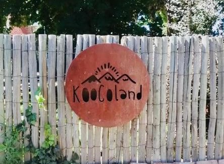 Tupungato Cabin | KooColand-Container con mini pileta