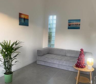 Juan Lacaze Apartment | La Camelia