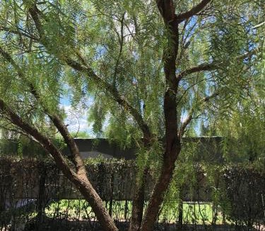 San Antonio de Arredondo House | La Casa de Juan