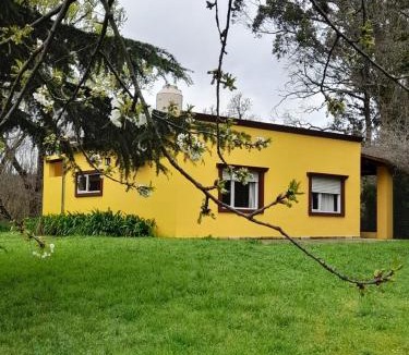 Tandil House | La casita amarilla