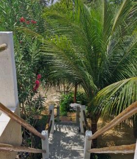 Caicara House | La Consta