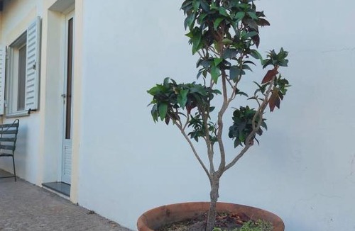 Ramallo House | La Porota