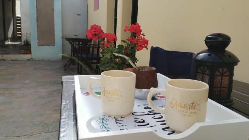 Humahuaca Hostel | La Puerta Verde