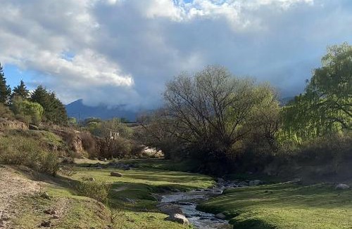 El Mollar House | La Residencia de los pájaros