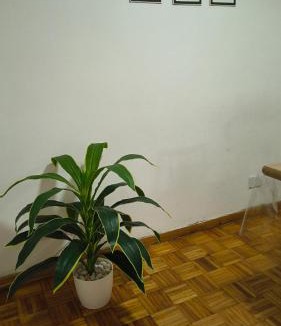 Rosario Apartment | La Victoria