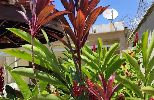 Gaivota House | Linda Casa Pertinho da Praia