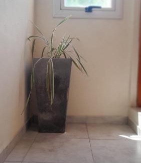 Concordia Apartment | Loft Turístico