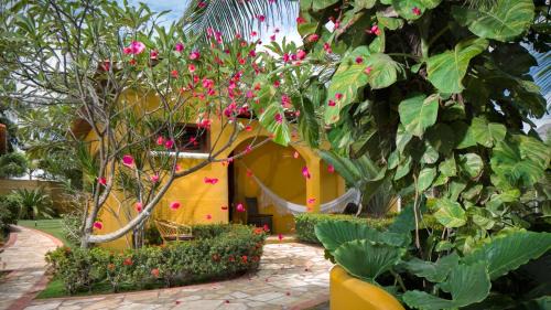 Canoa Quebrada Hotel | Long Beach