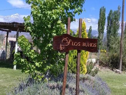 Potrerillos Apartment | Los búhos