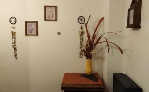 El Bolson Apartment | Los Girasoles team family