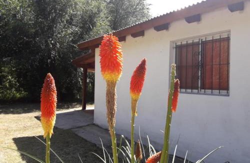 Los Reartes Ski Chalet | Los Manzanos