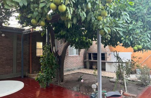 San Juan Apartment | Los Quiroga