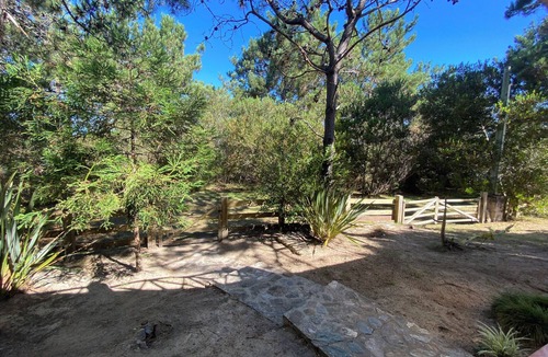 Oceania del Polonio House | Marvelous Stone House, Swimming Pool, Parrilleros, Beach & Nature. Pet-Friendly