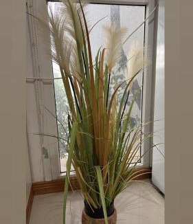 Navarro Apartment | Monoambiente centrico-Paseo Plaza