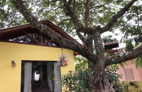 Paulo Lopes House | Morada Casa Amarela