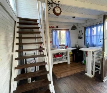 Punta Rubia House | Nomada