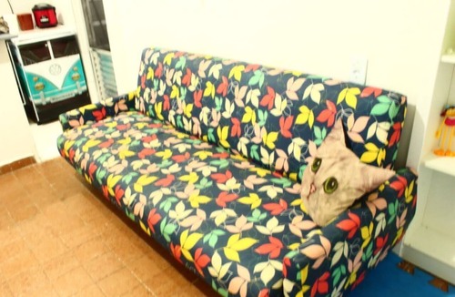 Vila Assuncao Apartment | Ocian Center 500 meters from the Beach, WI-FI, Cozy Family Studio