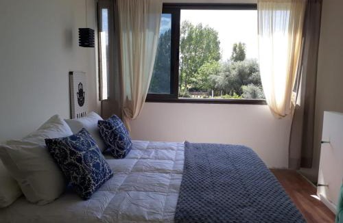 Lujan de Cuyo Cabin | Olivos de Terrada