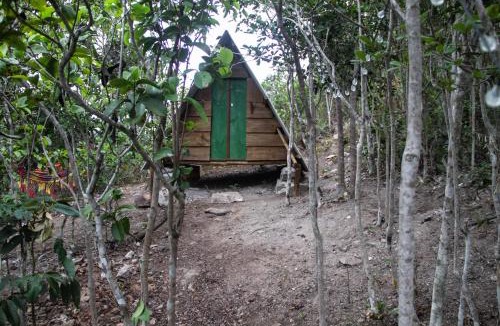 Ibicoara Other | Ouro da Terra 1