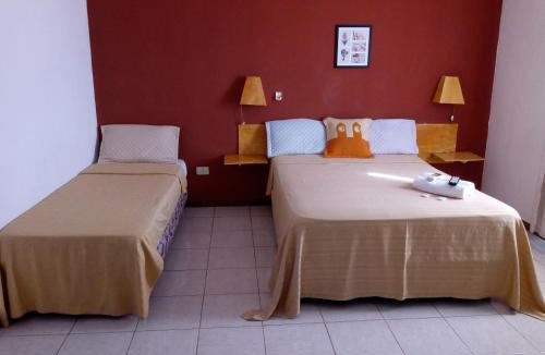 Puerto Iguazu Hotel | Petit Hotel Panambi