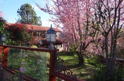 Delfim Moreira House | Pinot noir