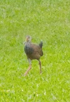 Mercedes Bed & Breakfast | Posada El Descanso