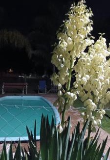Colon Hotel | Posada La Maison D Agustine