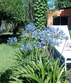 Parana Apartment | Posta Batata