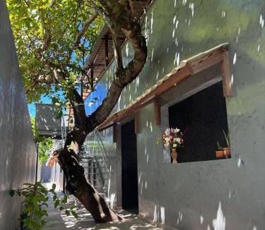Velha Boipeba Hotel | Pousada Água Salgada