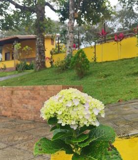 Lagoa Seca House | Pousada Chácara Pau - Brasil