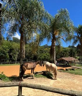 Sao Bonifacio Hotel | Pousada das Hortênsias