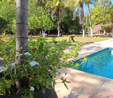 Palmas Hotel | Pousada Divino Toca