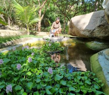 Cerro Cora Cabin | Pousada e Restaurante Parque das Aroeiras