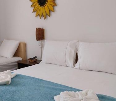 Santo Amaro do Maranhao Hotel | Pousada Girassol