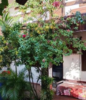 Sitio Hostel | Pousada Laia