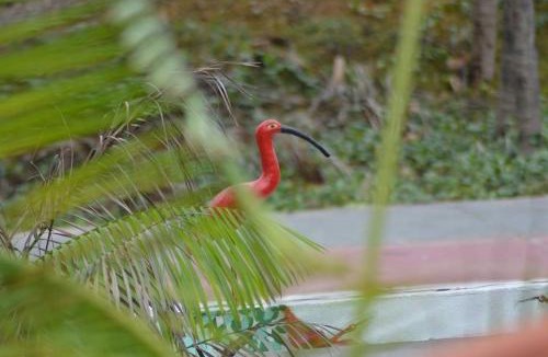 Sao Luis Hotel | Pousada Maramazon