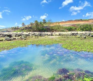 Pipa Hotel | Pousada Paraíso das Tartarugas