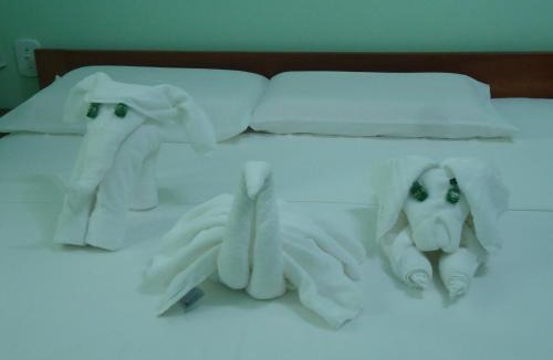 Barreirinhas Hotel | Pousada Paraíso dos Lençóis