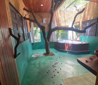 Caruaru Bed & Breakfast | Pousada Paz e Tranquilidade Chalé Céu estrelado