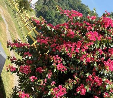 Guararema House | POUSADA PE NA TERRA EM GUARAREMA