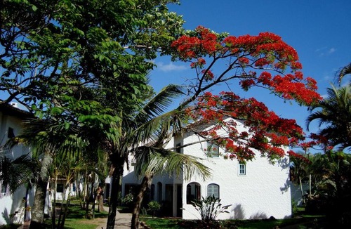 Ponta das Canas Apartment | Praias Brancas