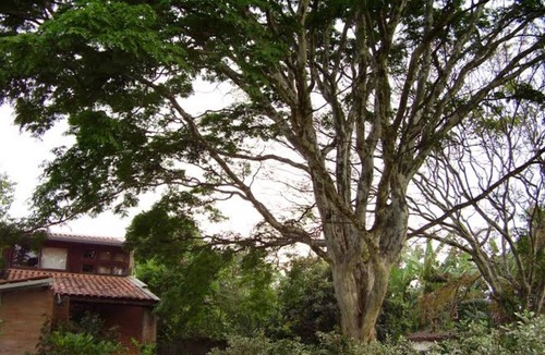 Campinas Resort | Private room ∙ 3 guests