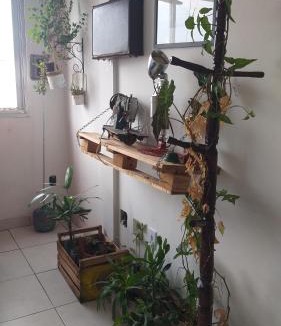 Cidade Baixa House | Quarto suite individual Compartilha somente a cozinha com o morador e sua cachorra Chori