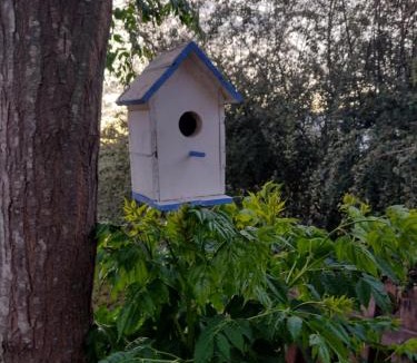 Suipacha House | Quinta Pedro Sanabria